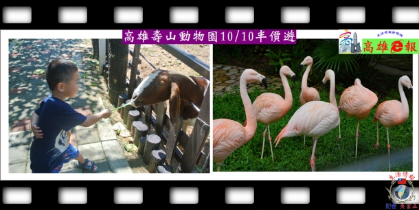 高雄壽山動物園10/10半價遊