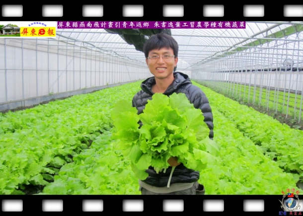 屏東縣燕南飛計畫引青年返鄉 朱書逸棄工習農學種有機蔬菜