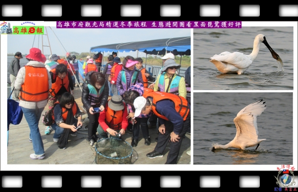 高雄市府觀光局精選冬季旅程 生態遊開團看黑面琵鷺獲好評