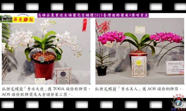 高雄區農業改良場蘭花育種獲2015臺灣國際蘭展9獎項肯定