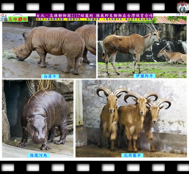 台北、高雄動物園2/17結盟約 推展野生動物在台灣保育合作