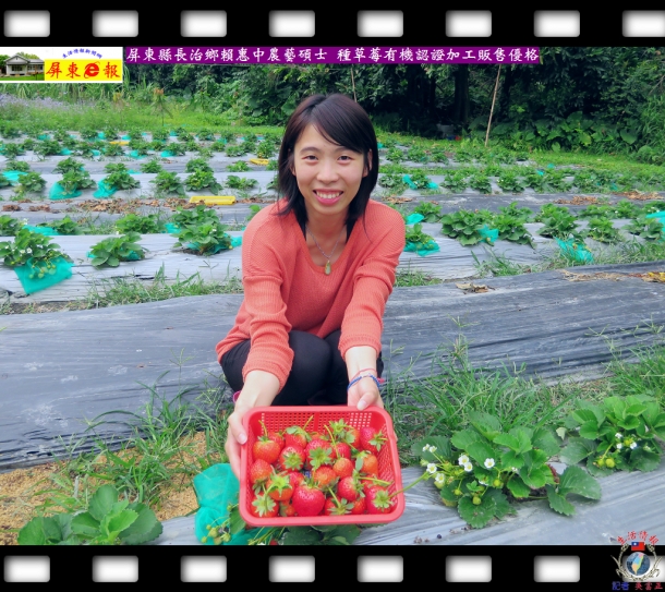 屏東縣長治鄉賴惠中農藝碩士 種草莓有機認證加工販售優格