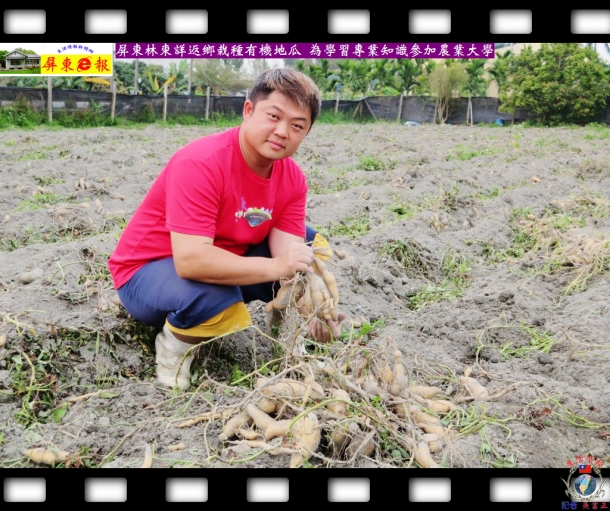 屏東林東詳返鄉栽種有機地瓜 為學習專業知識參加農業大學