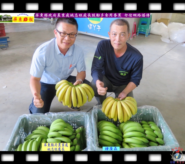 屏東縣政府農業處姚志旺處長鼓勵多食用香蕉勿信網路謠傳