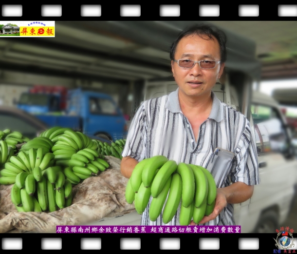 屏東縣南州鄉余致榮行銷香蕉 超商通路切根賣增加消費數量