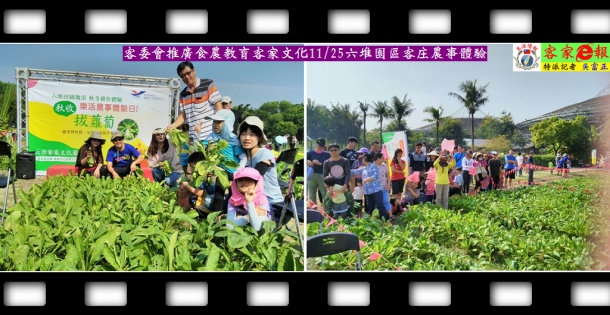客委會推廣食農教育客家文化11/25六堆園區客庄農事體驗
