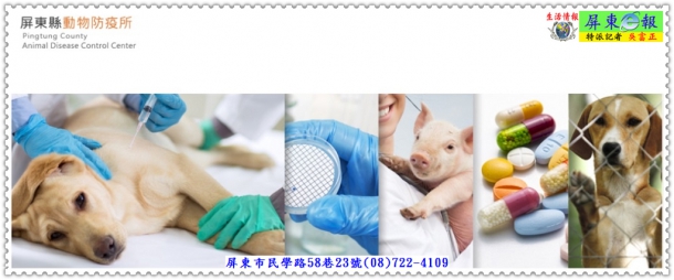 屏東縣動物防疫所提醒飼主－每年為家犬貓施打狂犬病疫苗