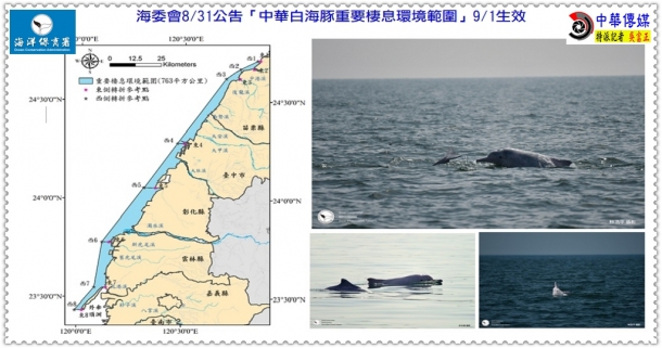 海委會8/31公告「中華白海豚重要棲息環境範圍」9/1生效＠生活情報＊中華傳媒